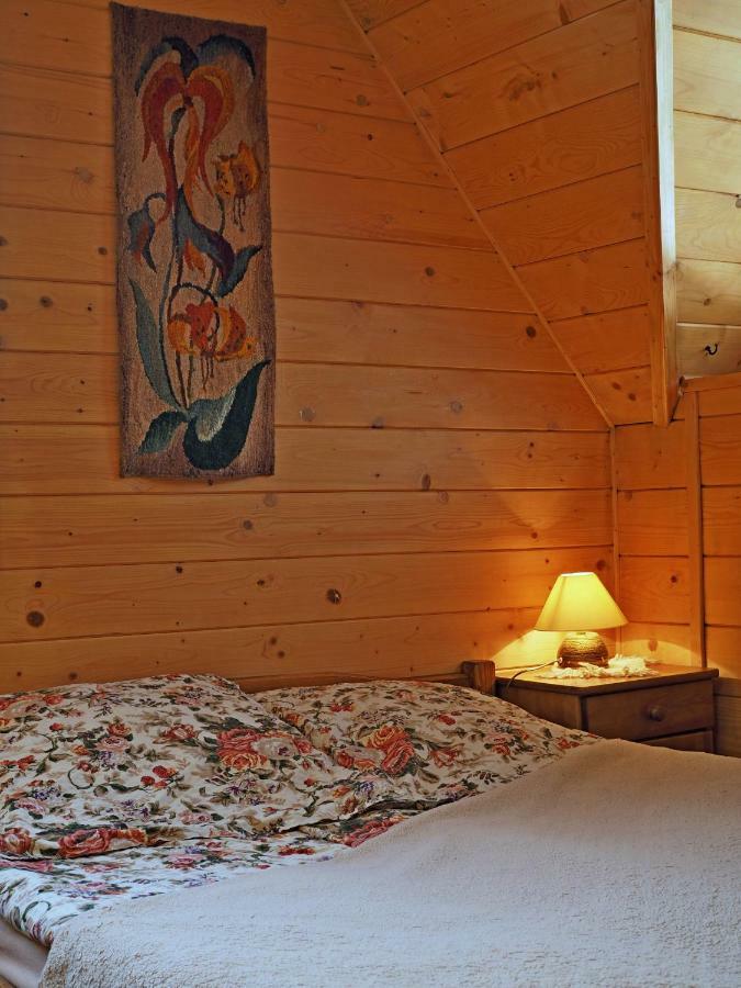 Willa U Kubusia Zakopane Eksteriør bilde